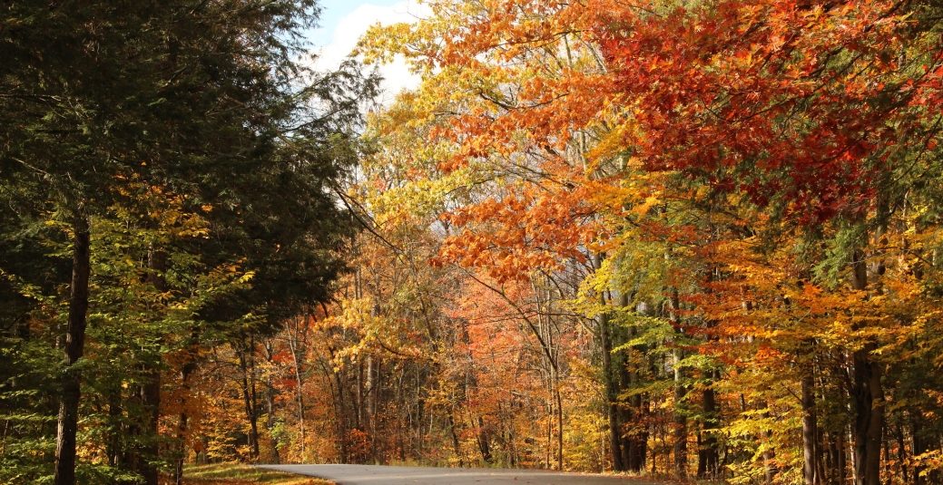 NEWS DU MOIS DE NOVEMBRE NEWS DU MOIS DE NOVEMBRE