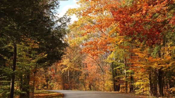 NEWS DU MOIS DE NOVEMBRE NEWS DU MOIS DE NOVEMBRE