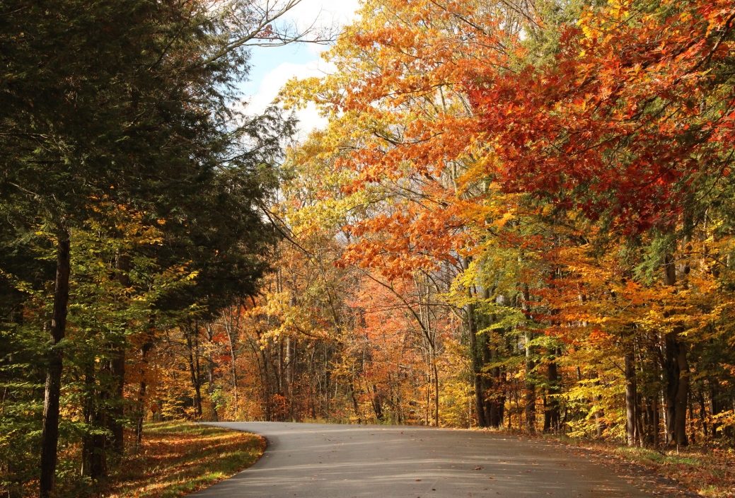 NEWS DU MOIS DE NOVEMBRE NEWS DU MOIS DE NOVEMBRE