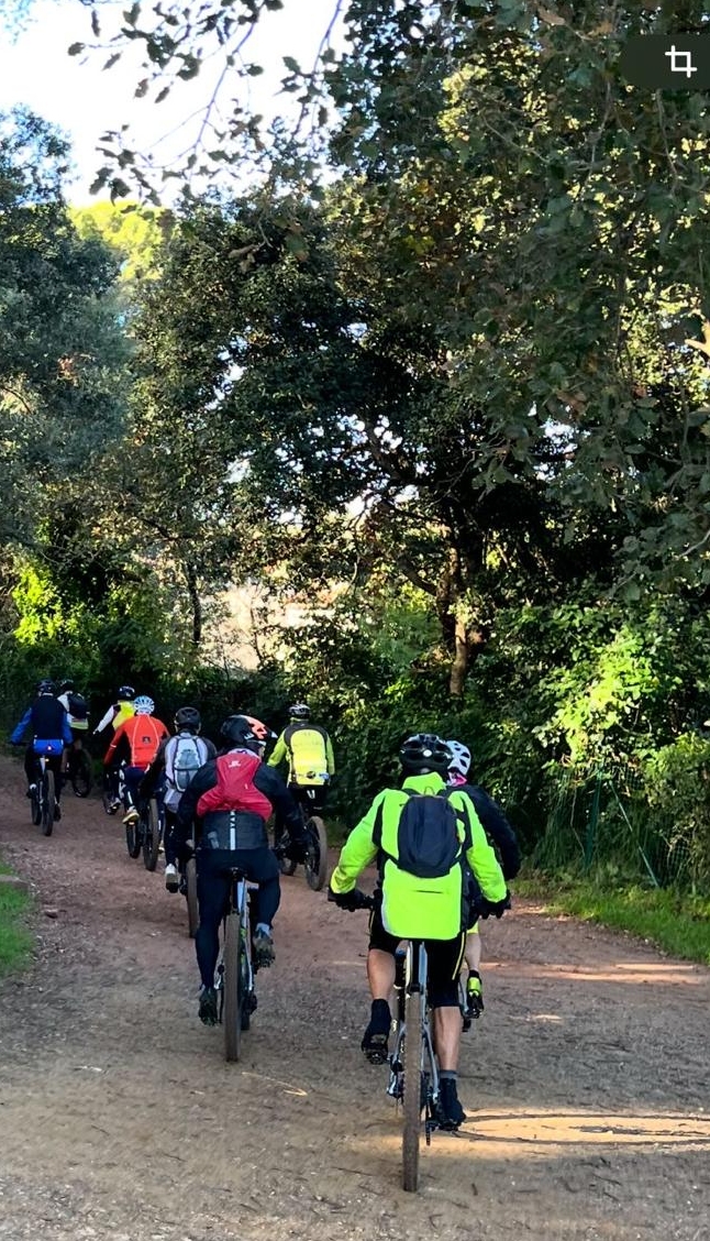 VTT Janas 19 nov 2025