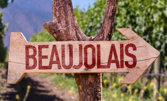 Sortie Gouleyante à la permanence du 22 novembre Sortie Gouleyante à la permanence du 22 novembre