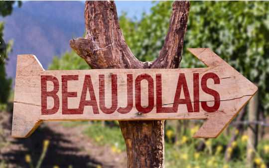 Sortie Gouleyante à la permanence du 22 novembre Sortie Gouleyante à la permanence du 22 novembre