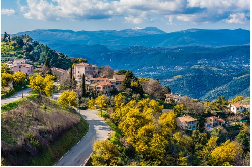 samedi 7 février 2026 sortie Mimosas